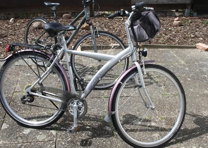 Gemuetliche In Mit Garten Und Grill By Interhome Lägenhet Wernigerode